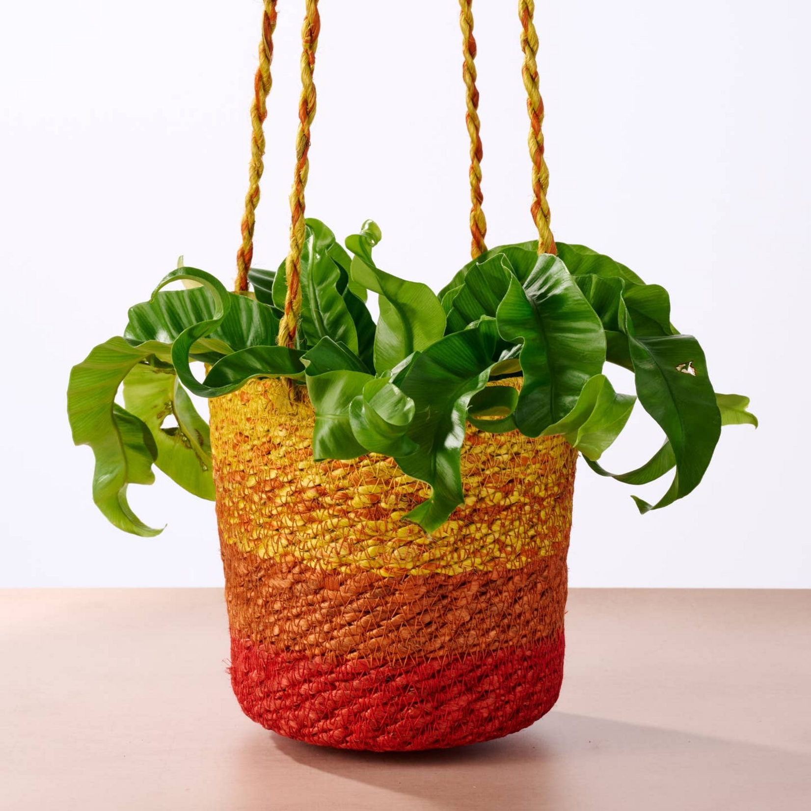 Buna Jute Hanging Planter