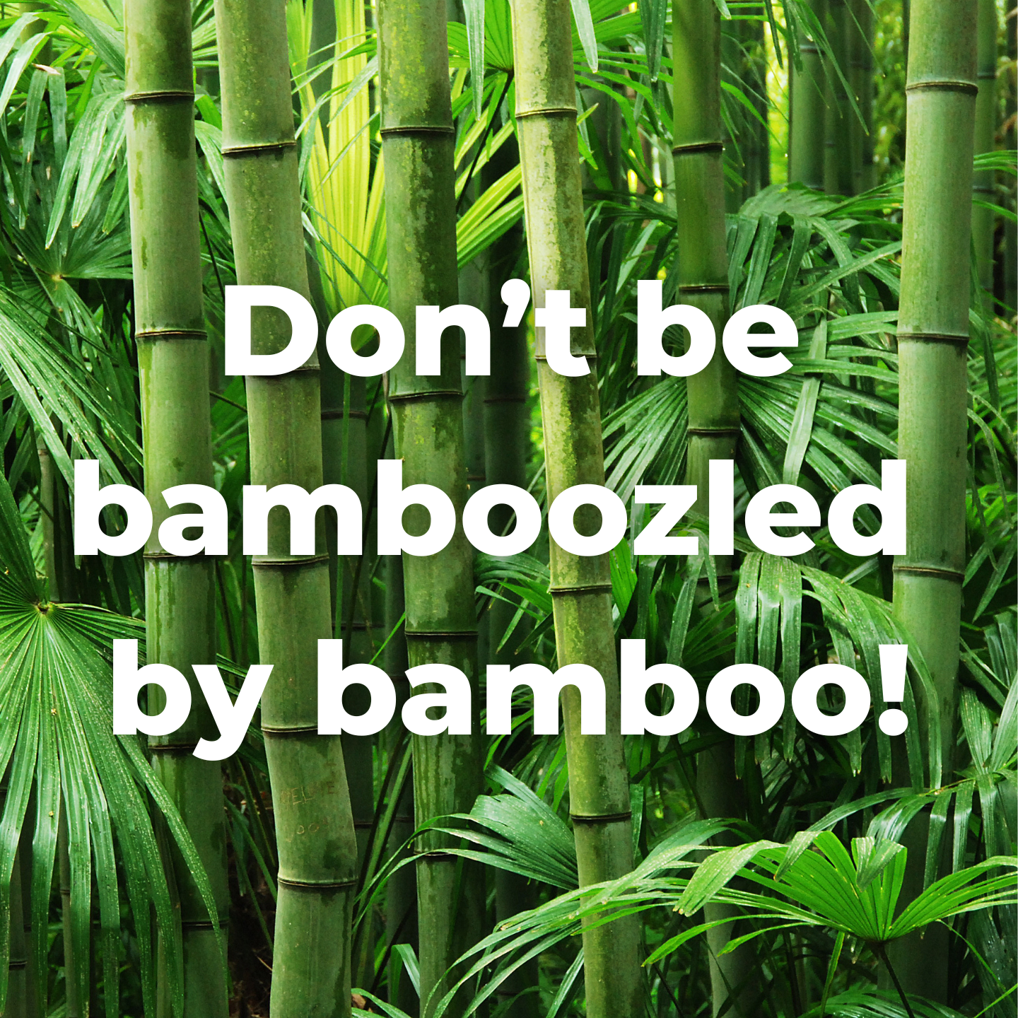 Don't be Bamboozled by Bamboo