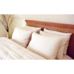 Extra Thick Fill Pillow