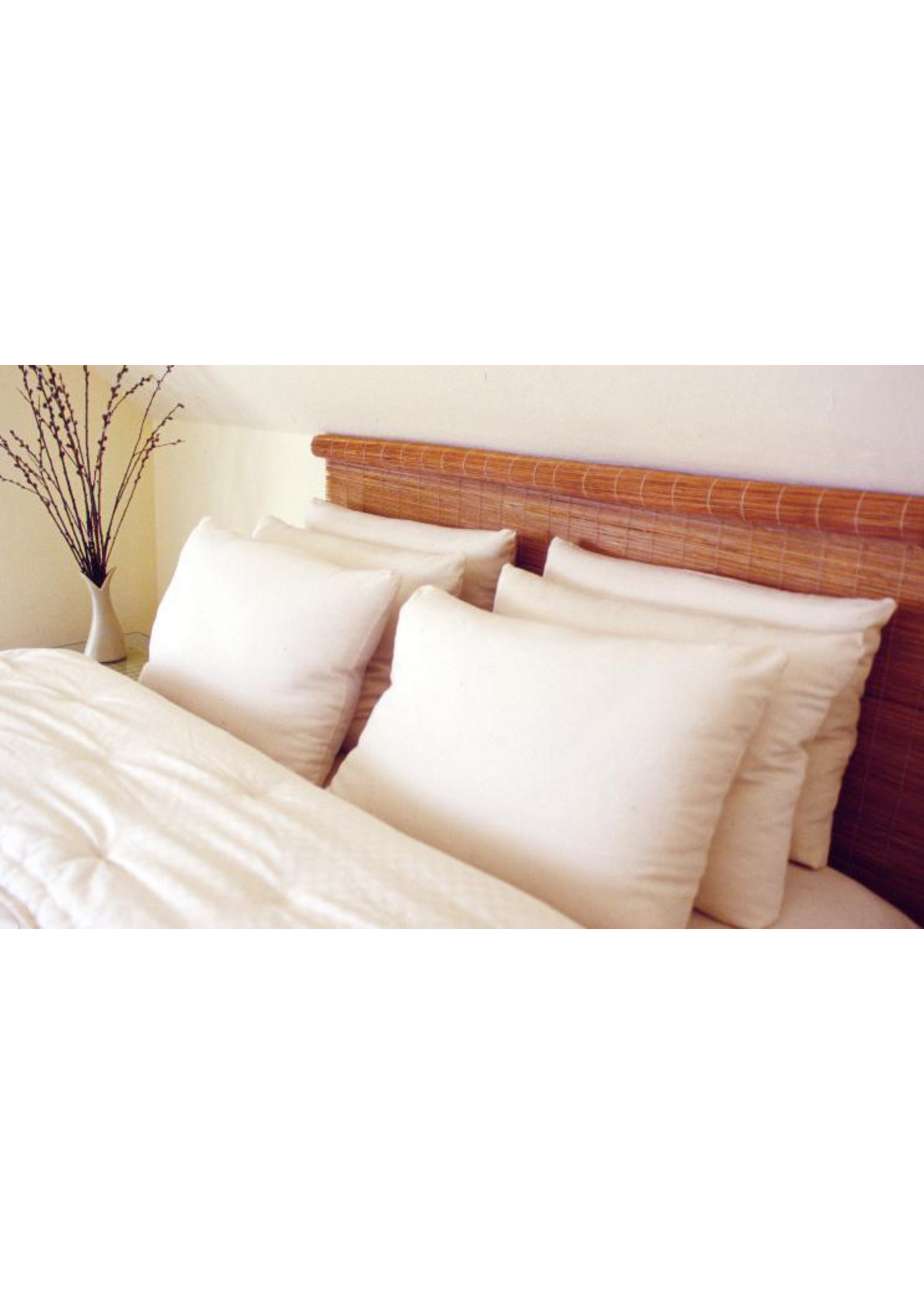 Extra Thick Fill Pillow