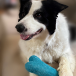 Ethical Global Eco Wool Dog Bone