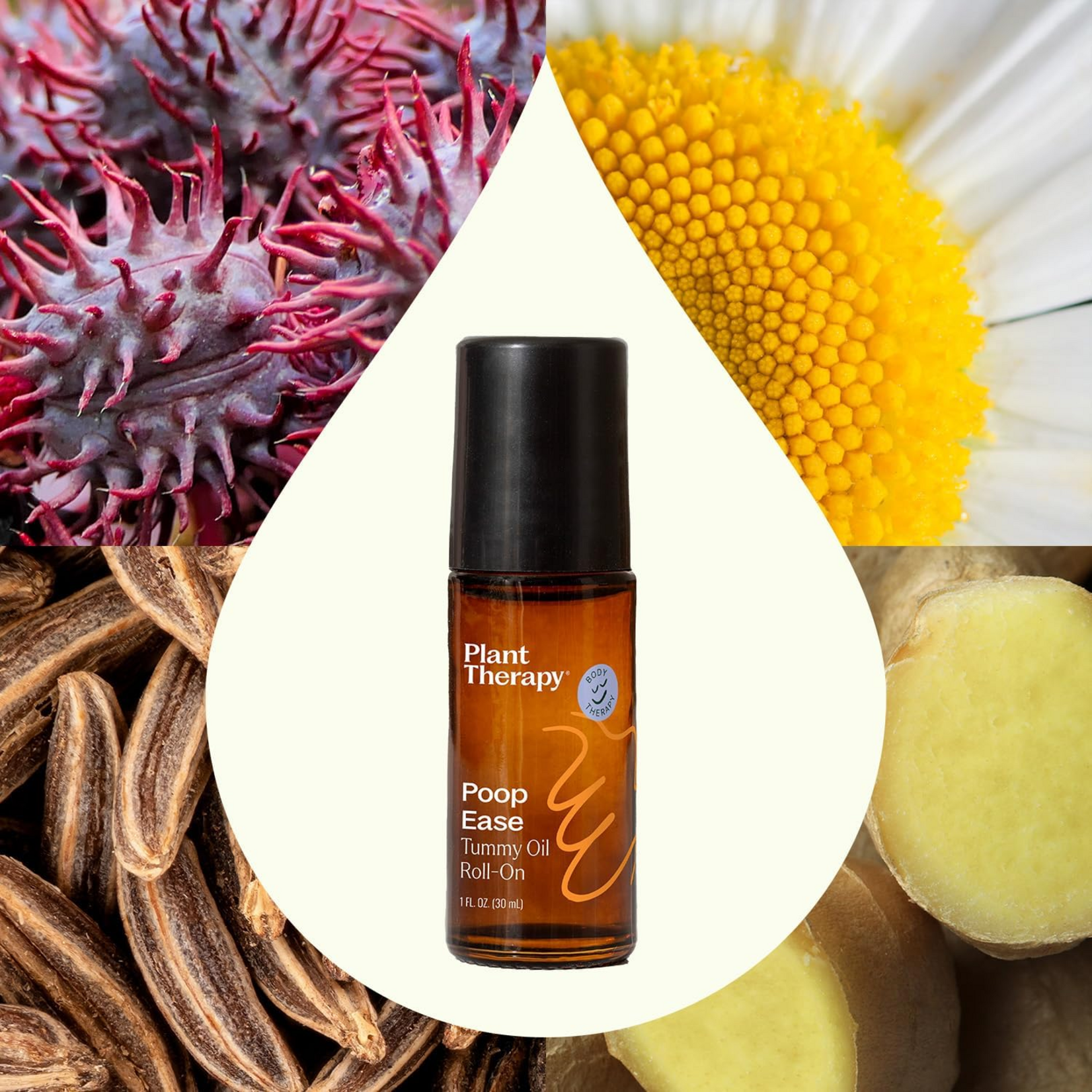 Plant Therapy Poop Ease Tummy Oil Roll On 30ml