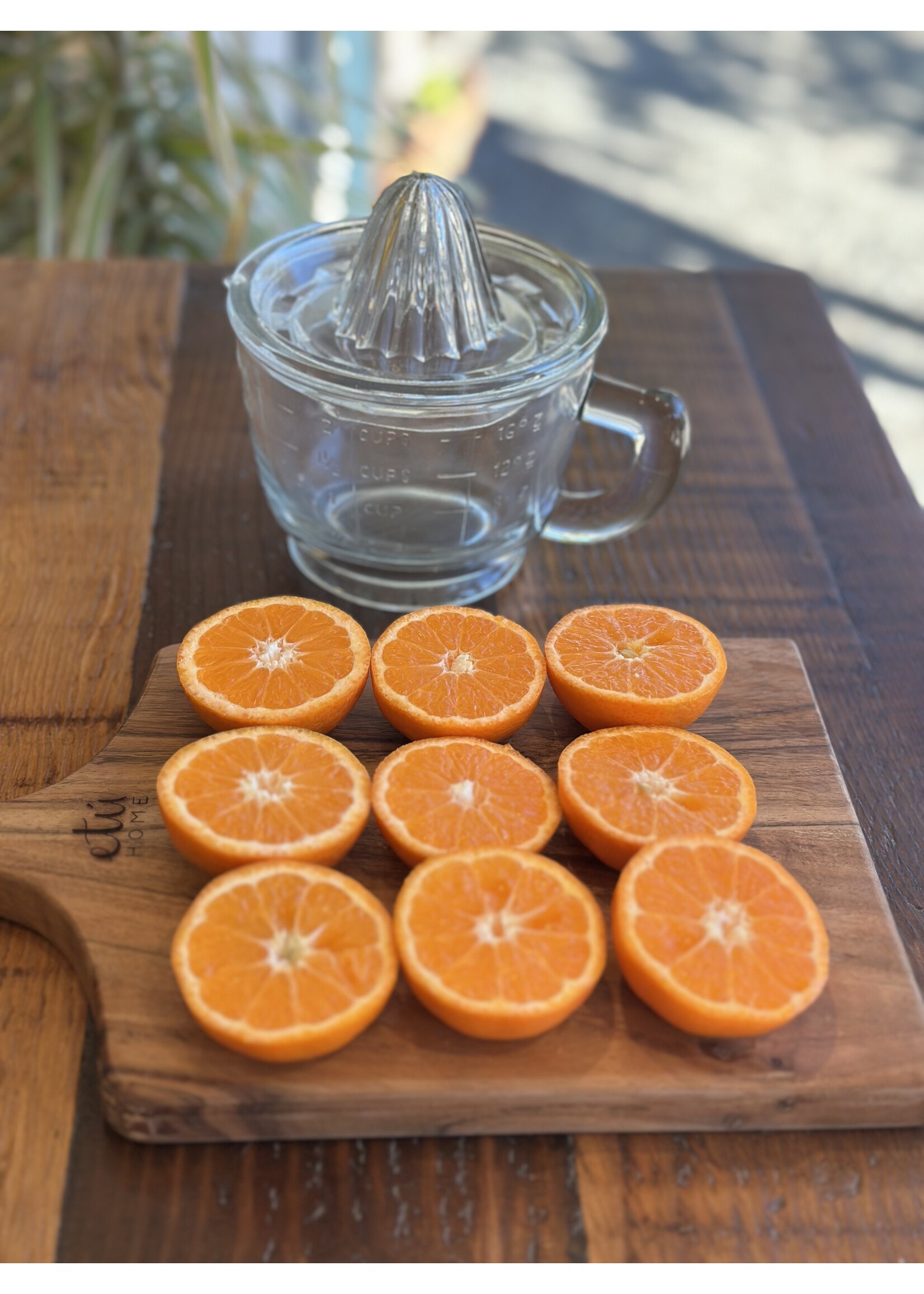 Etu Home Glass Hand Press Juicer