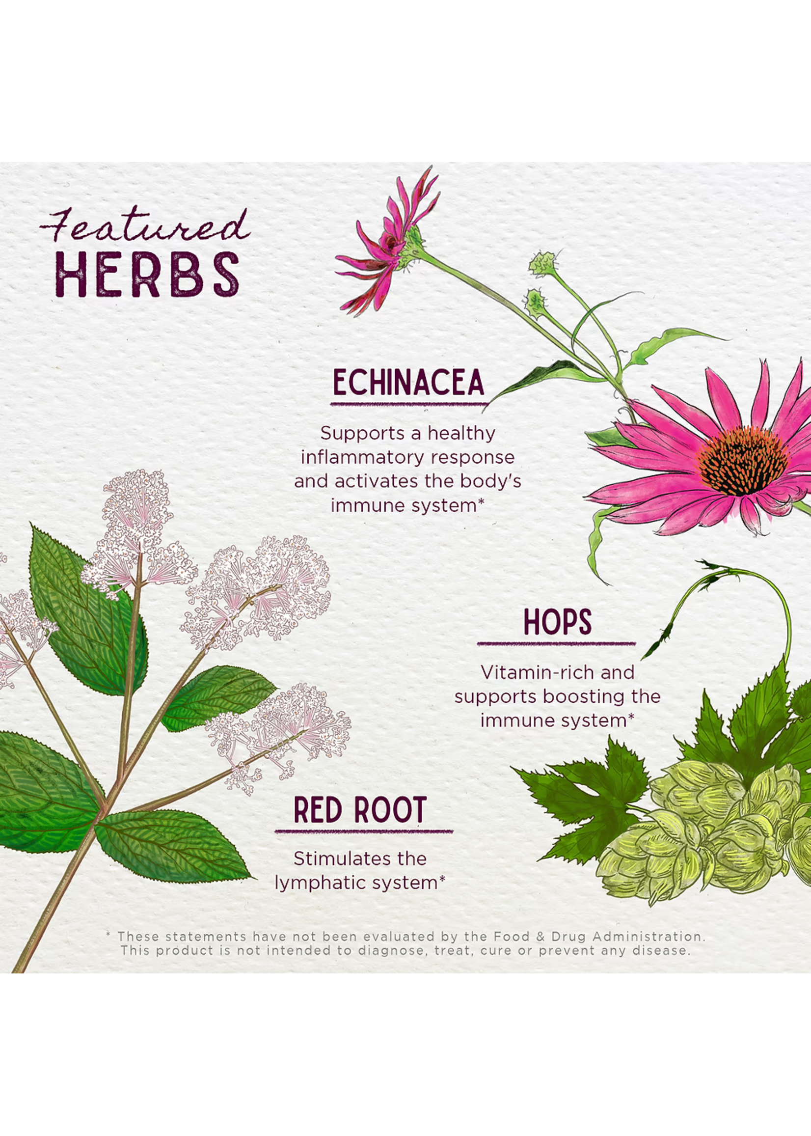 Wishgarden Herbs Wishgarden Herb Blends 2oz Kick-Ass Biotic