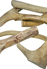 Dog Antler Chews