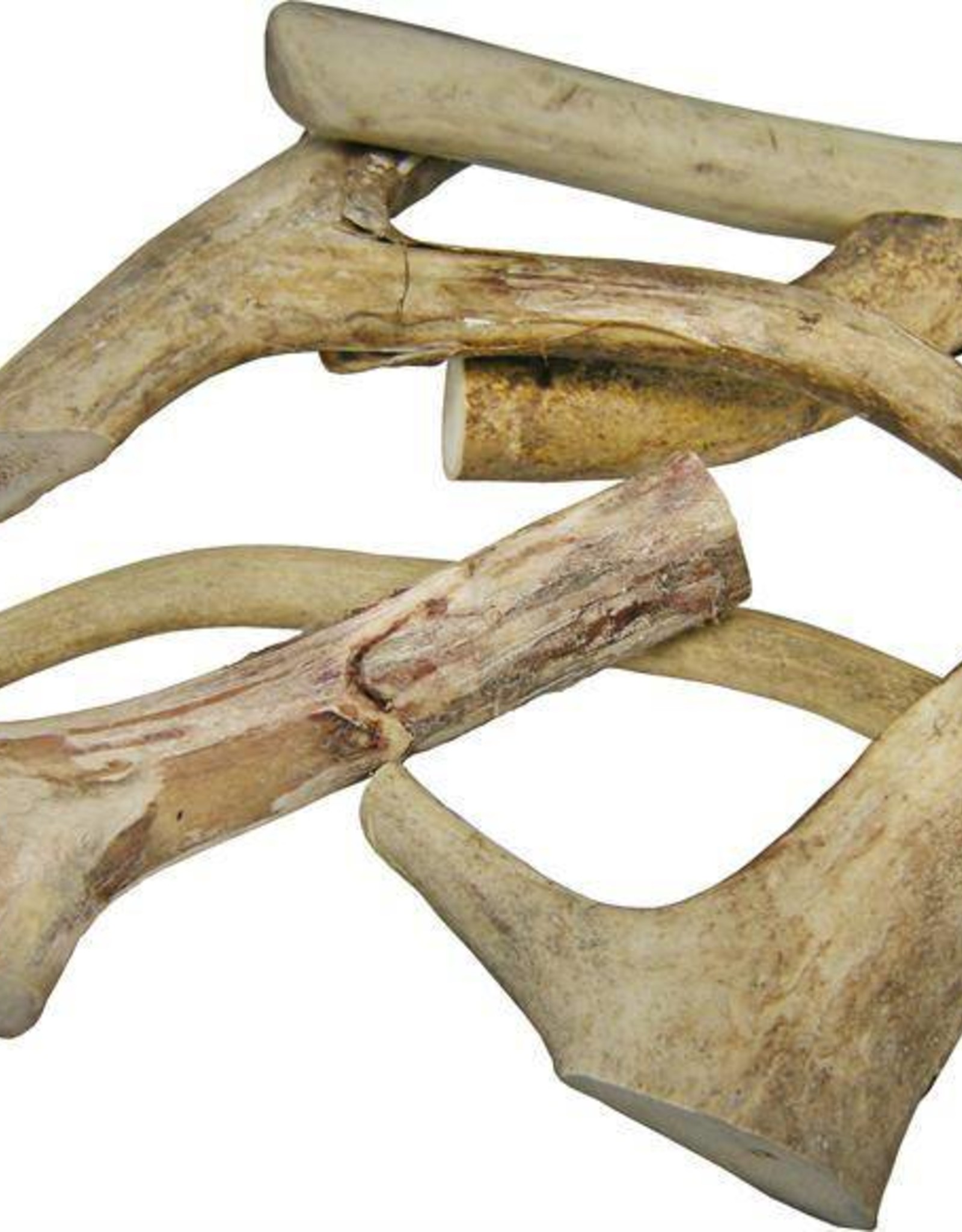 Dog Antler Chews