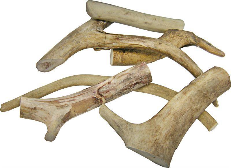 Dog Antler Chews Eco Carmel