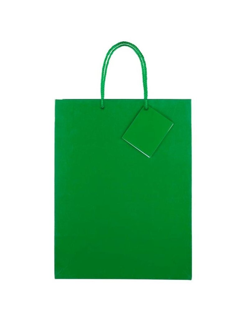 Solid Color Green Gift Bag - Pink Bliss Bvi