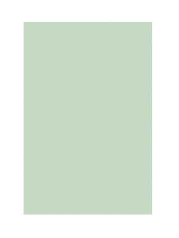 Waste Not Paper Mint Tissue Paper