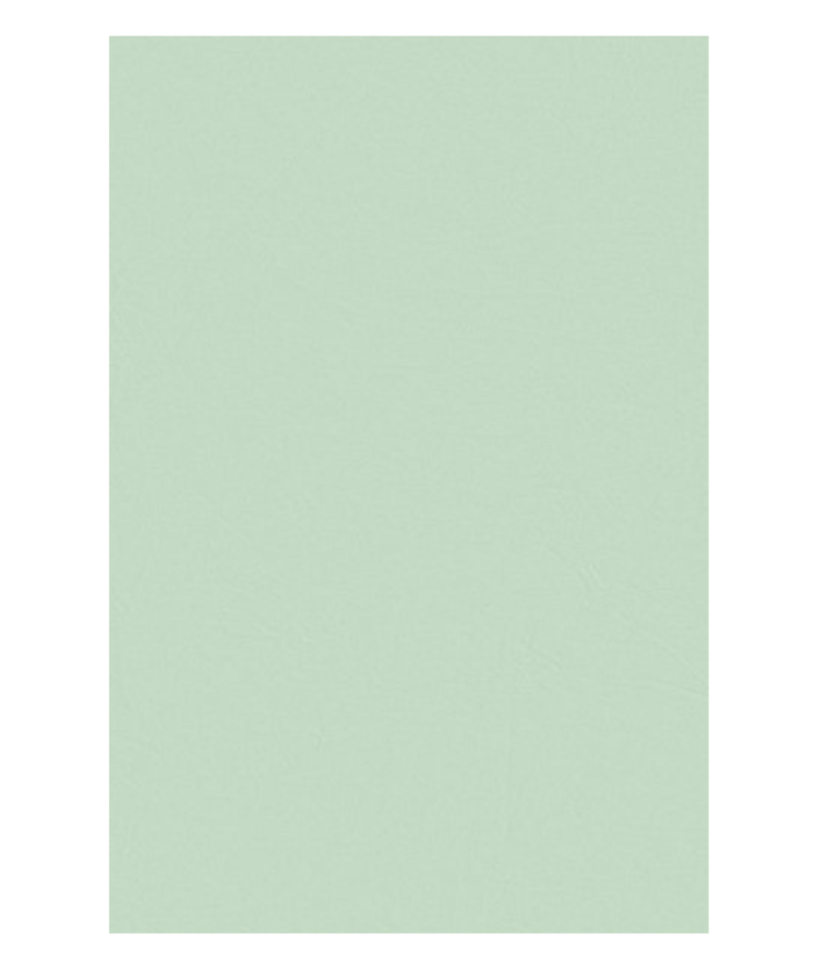 Waste Not Paper Mint Tissue Paper