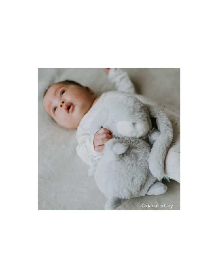 Bunnies By The Bay Tiny Nibble Bunny, Gray