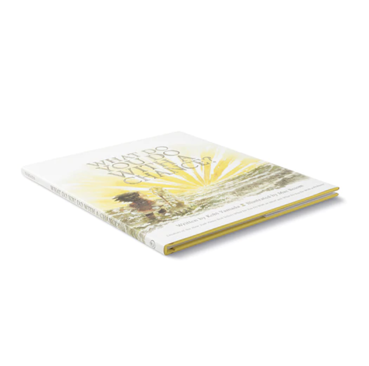 Compendium What Do You Do With A Chance?