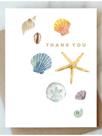 Abigail Jayne Design Shells Thank You