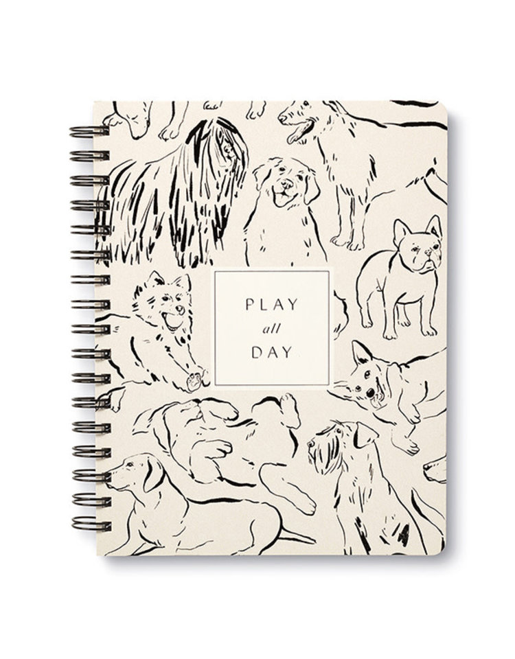 Compendium Play All Day Notebook