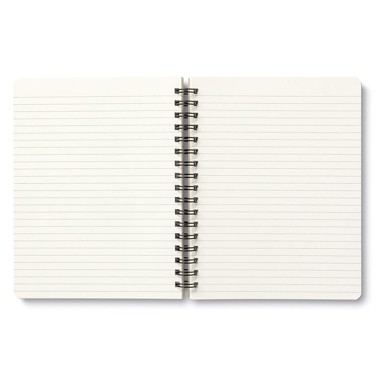 Compendium Play All Day Notebook