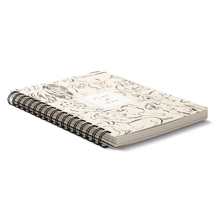 Compendium Play All Day Notebook