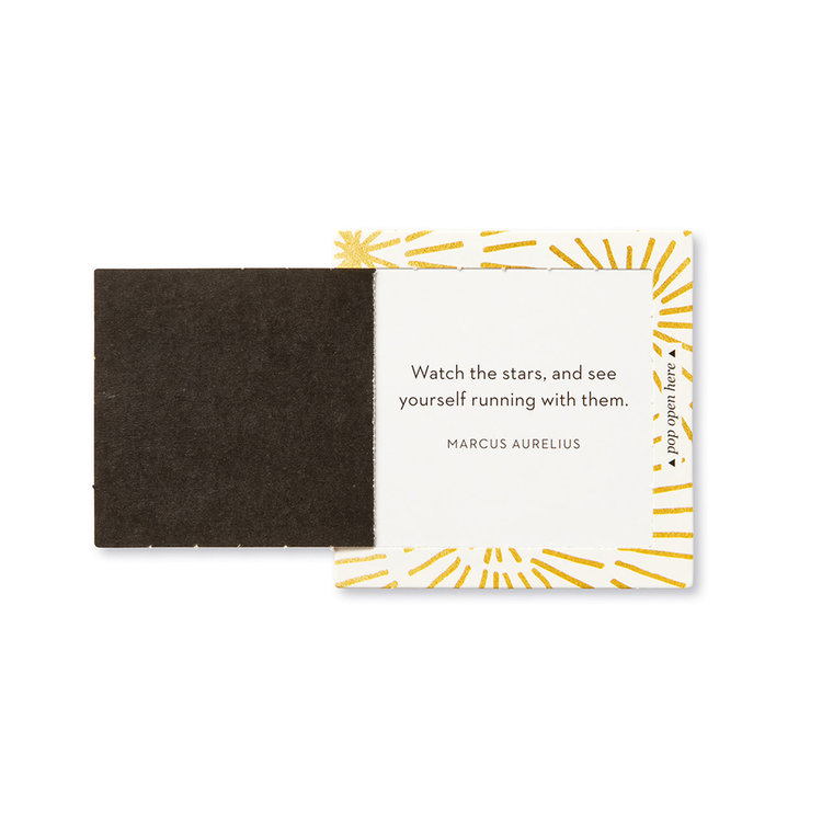 Compendium ThoughtFulls, Shine