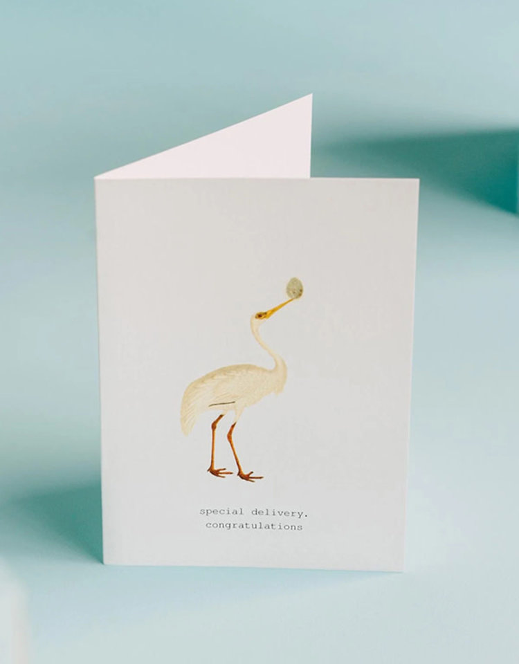 Margot Elena Special Delivery