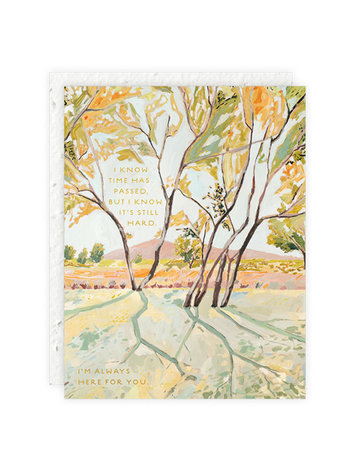 Seedlings In The Shade