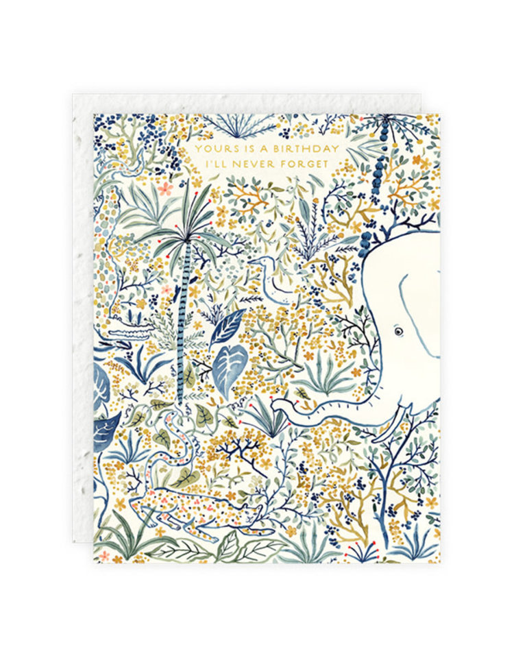 Seedlings I'll Never Forget