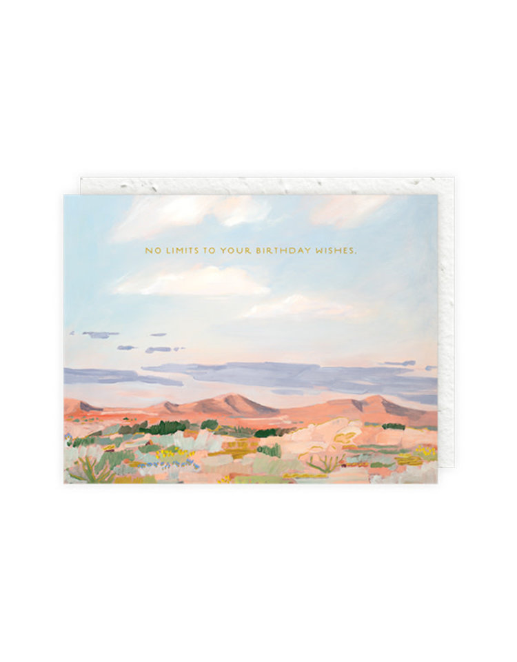 Seedlings Morning Desert