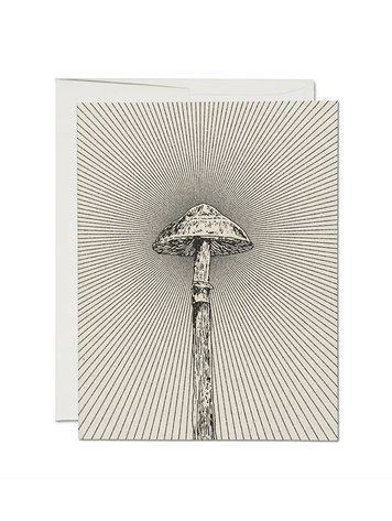 Red Cap Cards Shroom