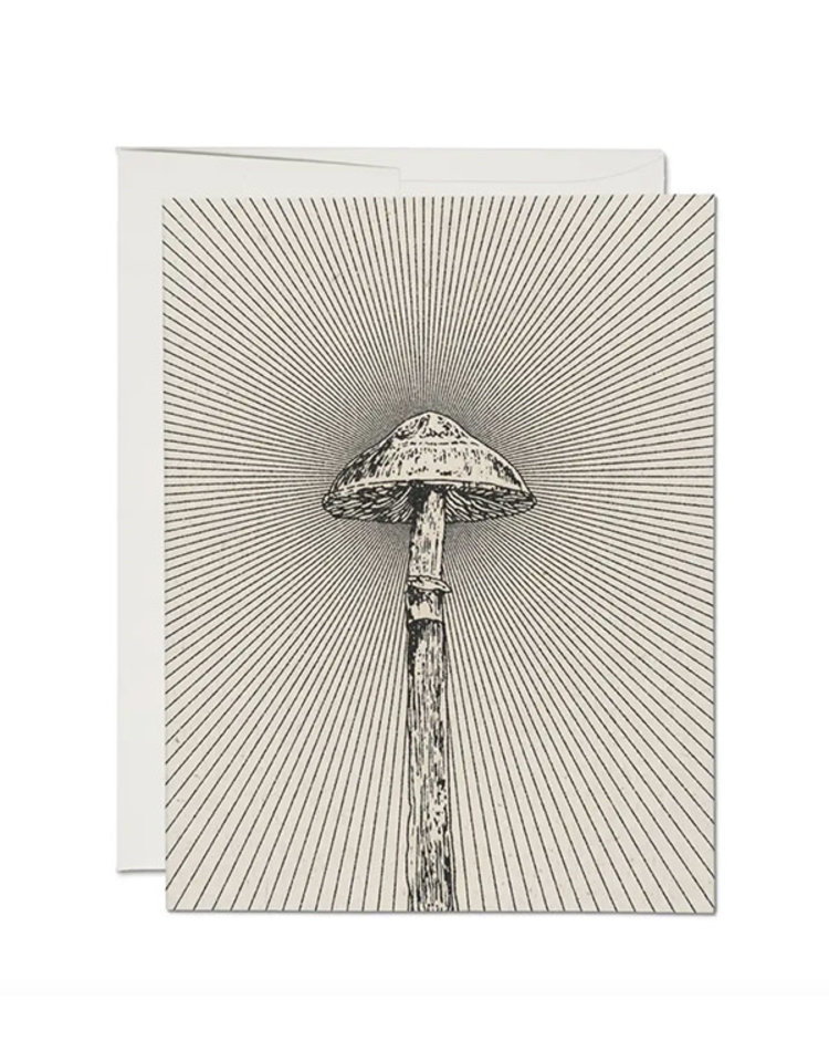 Red Cap Cards Shroom