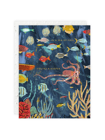 Seedlings You're A Keeper