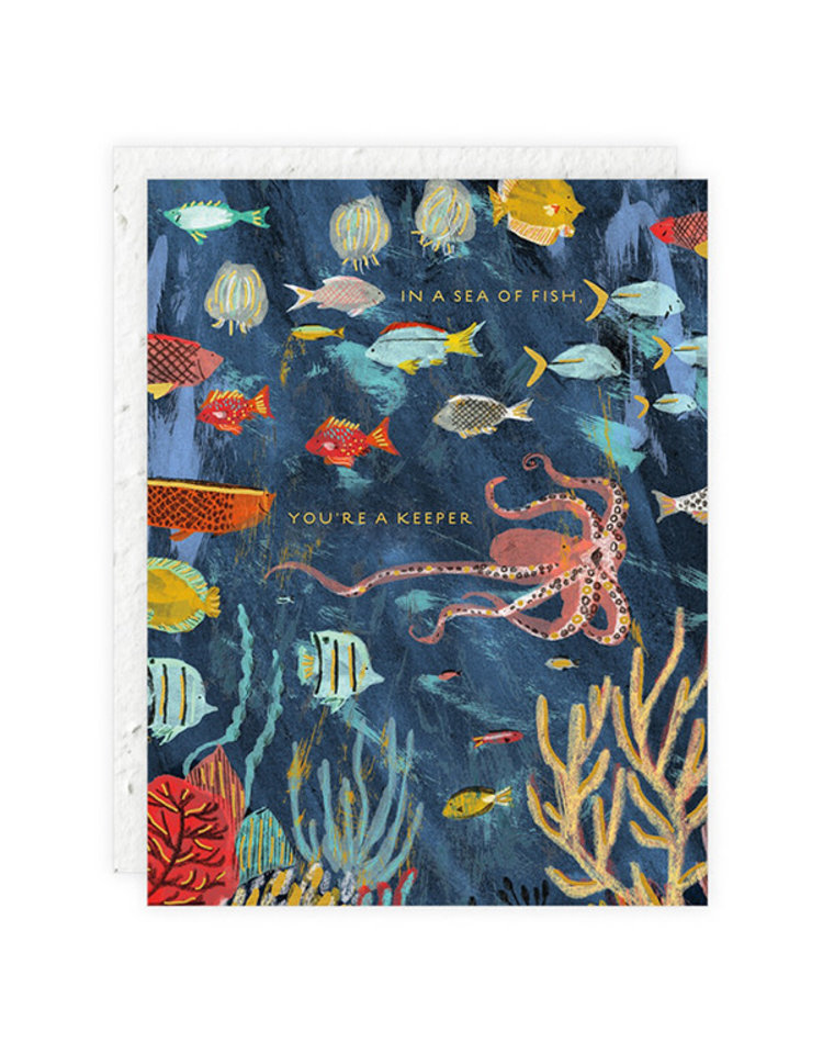 Seedlings You're A Keeper