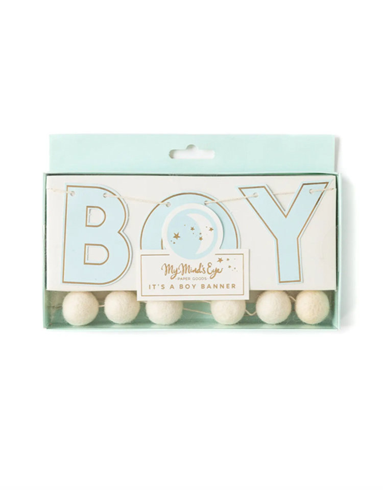 My Mind's Eye Baby Blue Banner