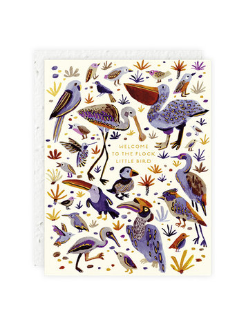 Seedlings Little Bird