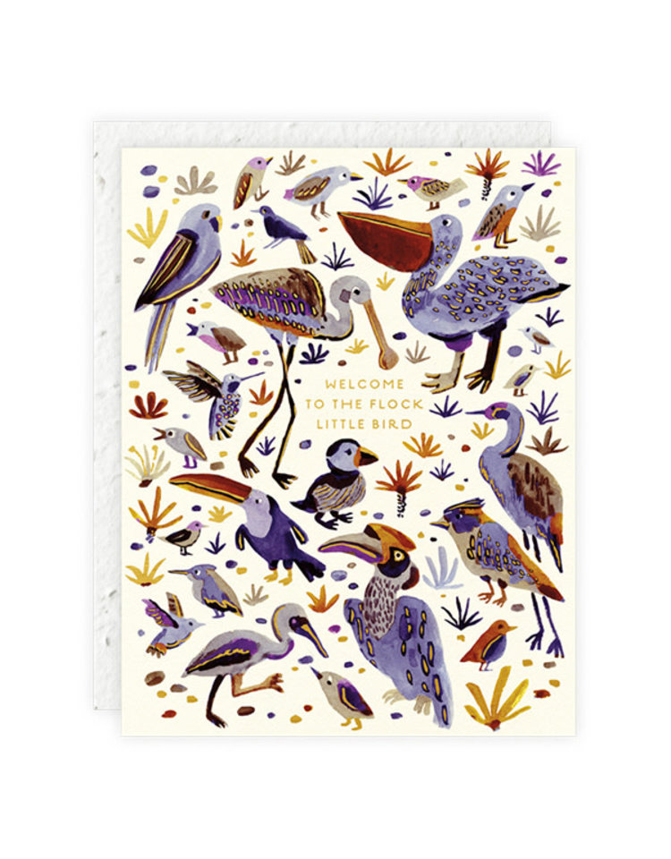 Seedlings Little Bird