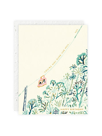 Seedlings Over the Hill