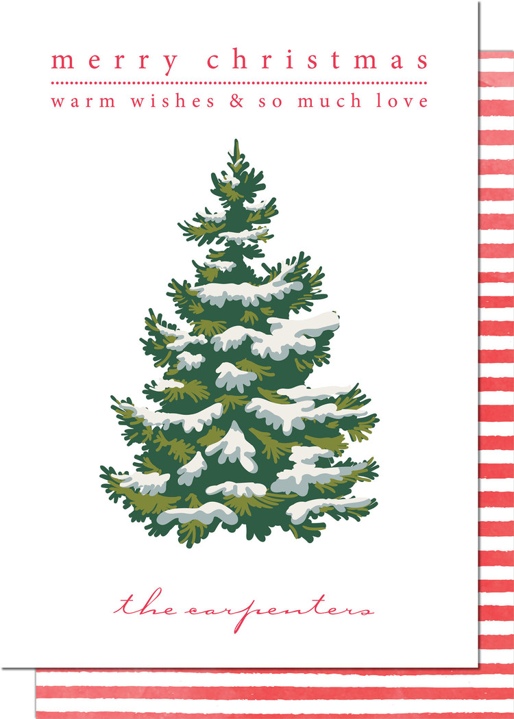 Kramer Drive Holiday Card, Festive Frost