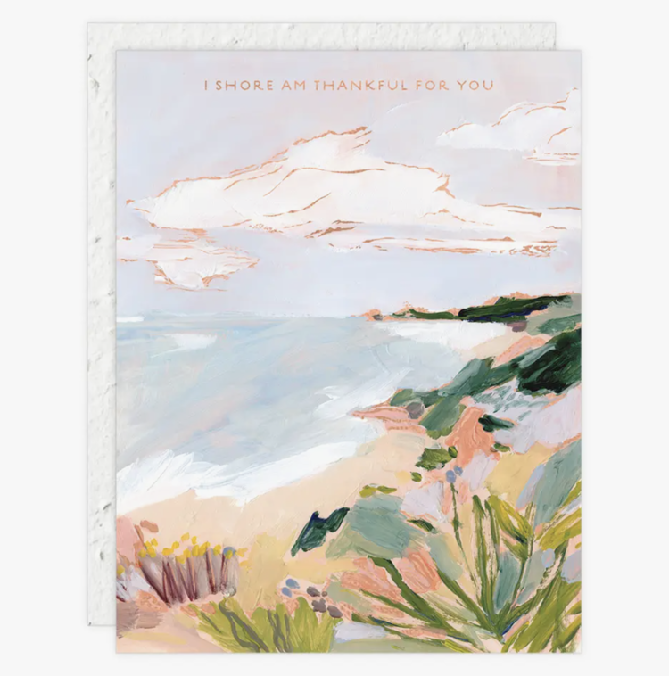 Seedlings Shore am thankful