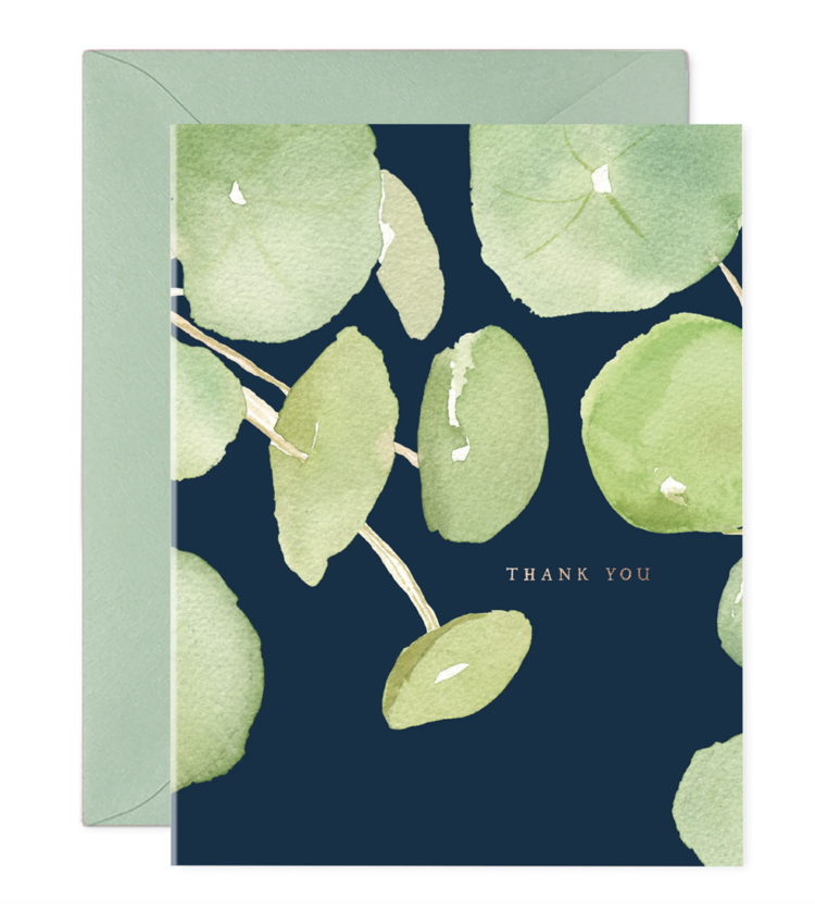 E. Frances Paper Studio Pancake Plant Thank You Boxed Set