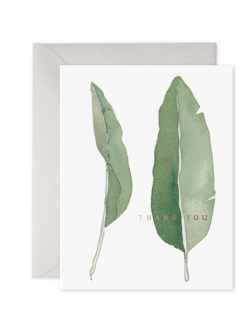 E. Frances Paper Studio Thank You Leaves Boxed Set