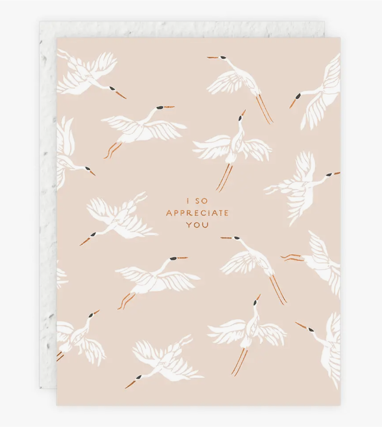 Seedlings I So Appreciate You