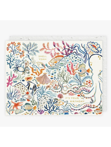 Seedlings Shell, Yeah