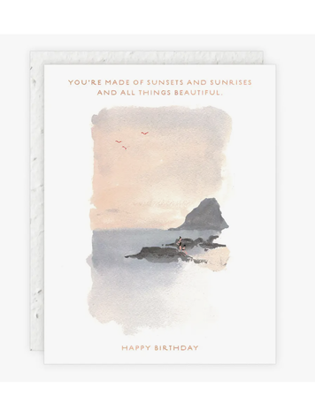 Seedlings Sunset on the Rocks