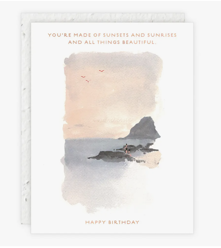 Seedlings Sunset on the Rocks