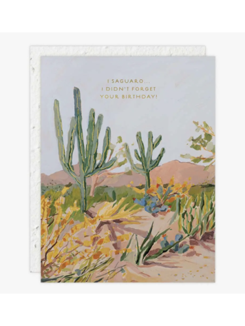 Seedlings Cactus Birthday