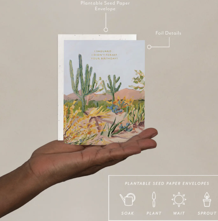 Seedlings Cactus Birthday