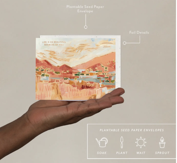 Seedlings Golden Hills