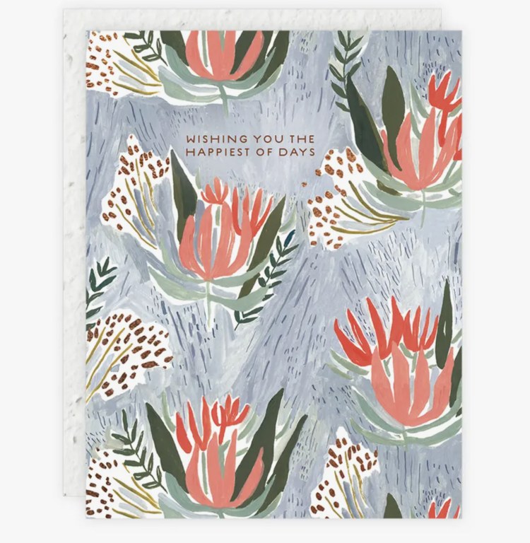 Seedlings Happiest of Days