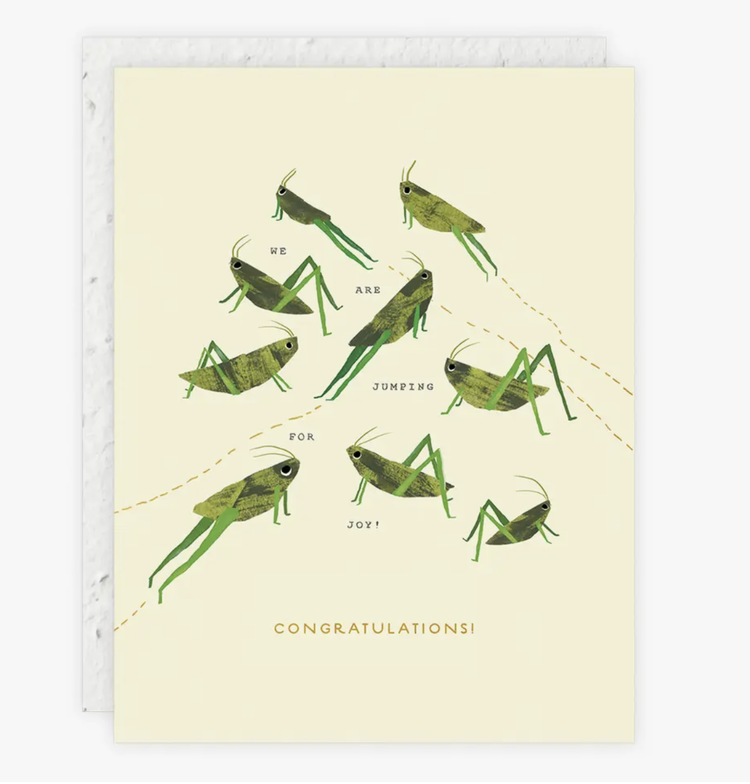 Seedlings Jumping For Joy