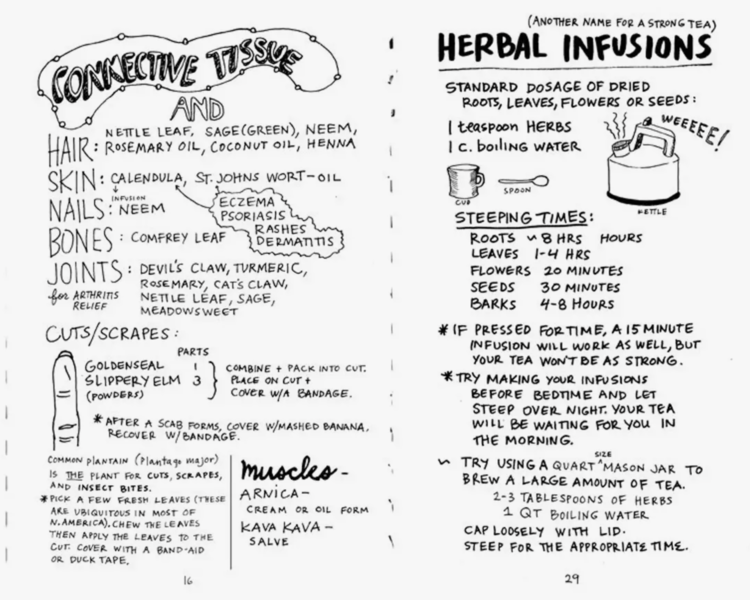 Microcosm Publishing & Distribution Healing Your Magical Body with Plants & Minerals