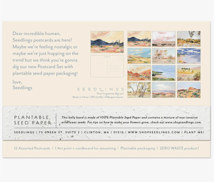 Seedlings Cactus Seedlings Postcard Set