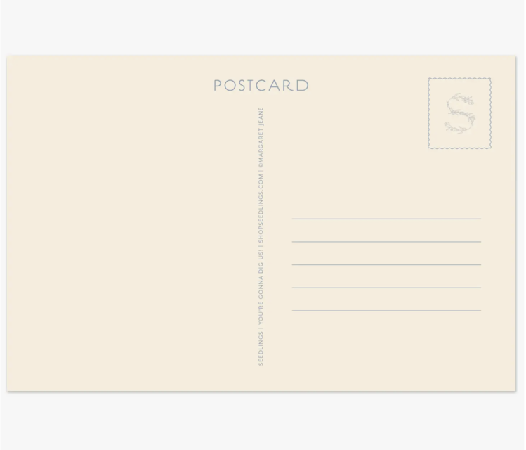 Seedlings Cactus Seedlings Postcard Set