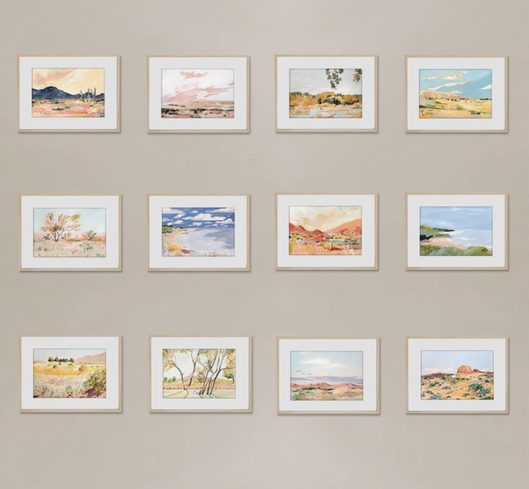 Seedlings Cactus Seedlings Postcard Set